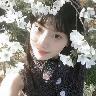 禅在此山中